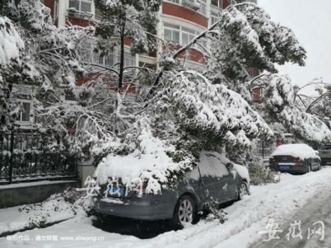 天降大雪萬物寒,瑞聯保溫暖人心